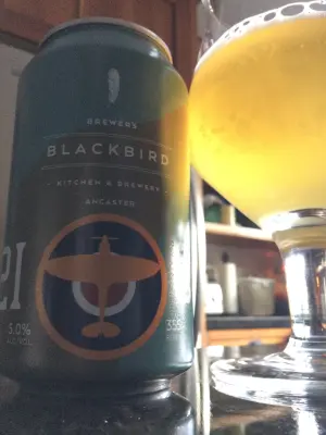 Tessic's photo of 2 I C Cream Ale