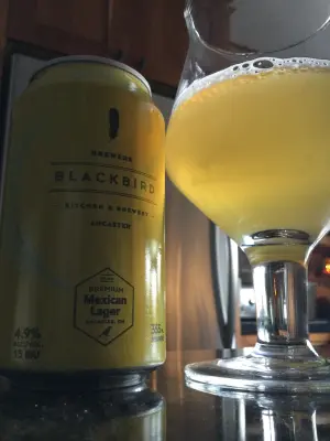 Tessic's photo of Mexican Lager