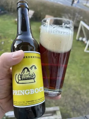 Dedollewaitor's photo of Springbock