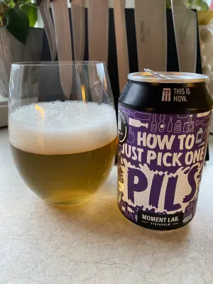 IpaPils's photo of How To Just Pick One Pils