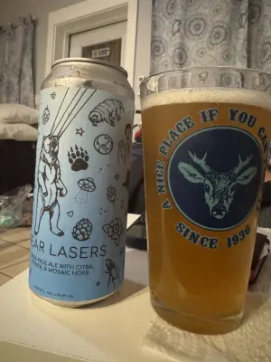 Chris_Ofstad's photo of Bear Lasers