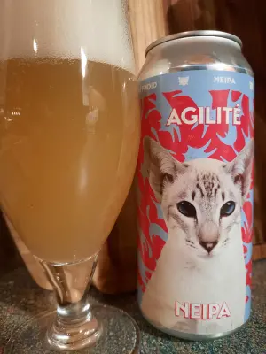 Metalchopz's photo of Agilité
