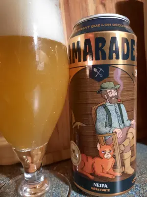 Metalchopz's photo of Camarades