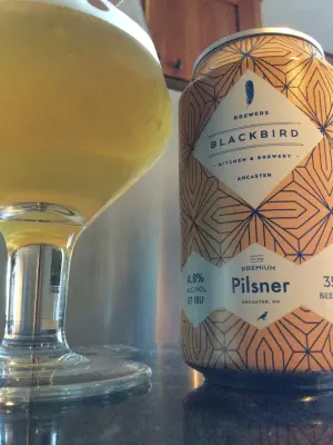 Tessic's photo of Premium Pilsner