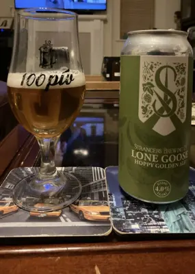 Grumbo's photo of Lone Goose