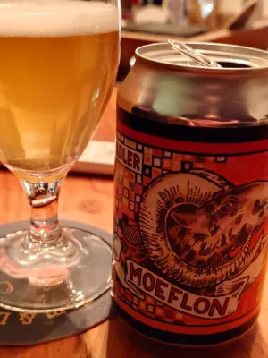 TomHendriksen's photo of Moeflon