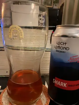 wyzzywyz22's photo of Shark