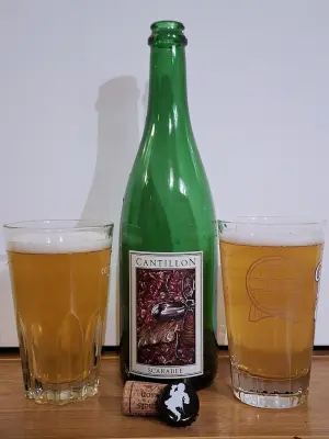 EvNa's photo of Scarabée (2025)