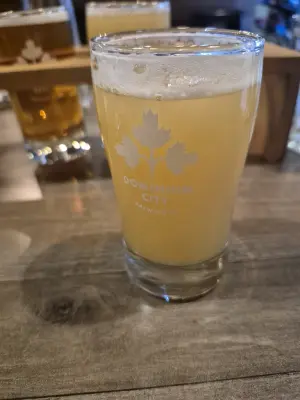 Lubiere's photo of DDH Southern Cross Sunsplit IPA