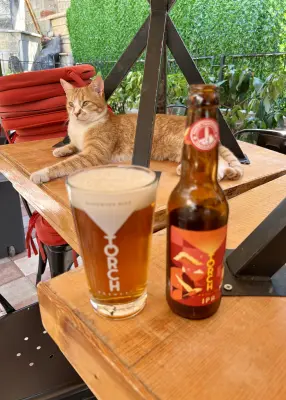 Grumbo's photo of India Pale Ale (IPA)