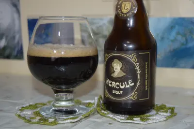AleDegustation's photo of Hercule Stout