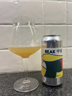 CraftBeerNick's photo of Big Cosm