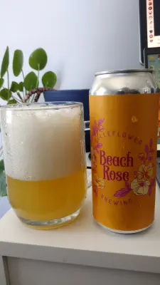 Clarkvv's photo of Beach Rose