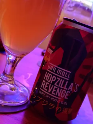 TomHendriksen's photo of Hopzilla's Revenge