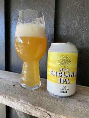 IpaPils's photo of New England IPA
