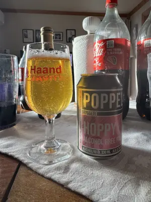 Chris_Ofstad's photo of Hoppy Alcohol Free Pale Ale