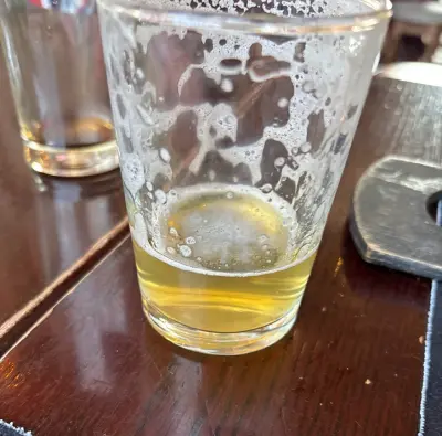 Mr_Pink_152's photo of Morph - NEIPA