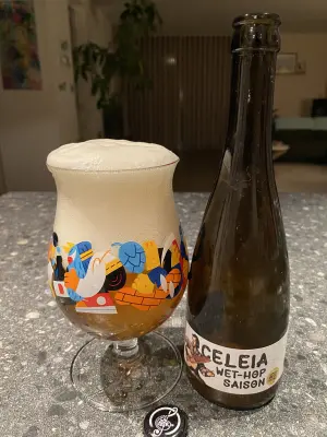Borresteijn's photo of Celeia Wet-Hop Saison