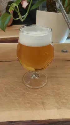 Gurthnar's photo of 11% Cryo APA #friendsoflibertas