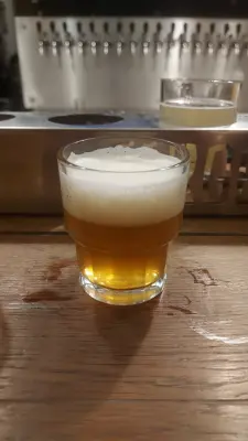 Gurthnar's photo of 18 King Cow