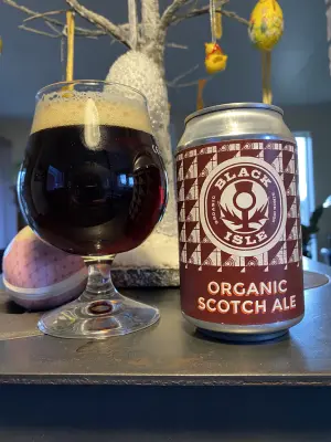 IpaPils's photo of Organic Scotch Ale