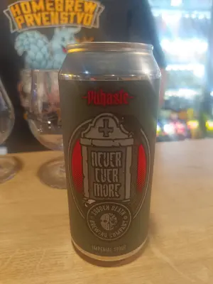 Marko's photo of Never Evermore