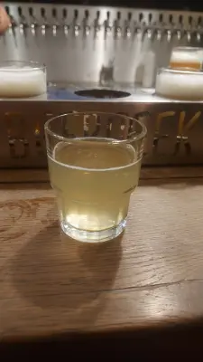 Gurthnar's photo of No Cow Low Carb Lemon APA