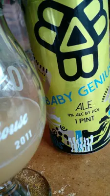 Dogbrick's photo of Baby Genius