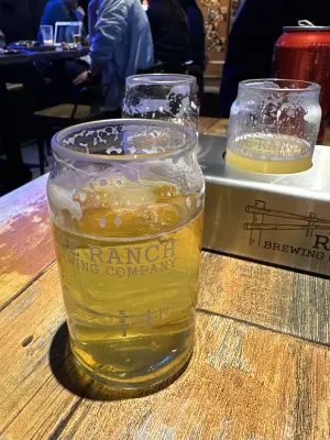 saxo's photo of Hipjiro Brut IPA