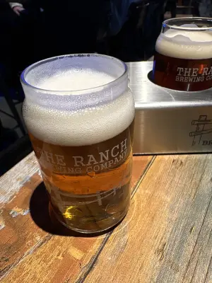 saxo's photo of Jungrim Pale Ale