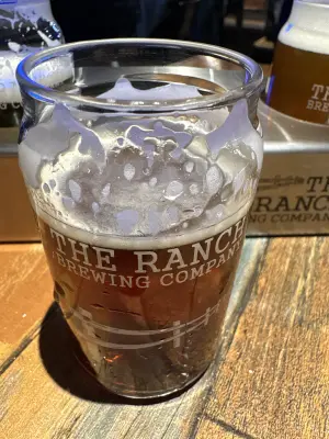saxo's photo of Cheonan Amber Lager