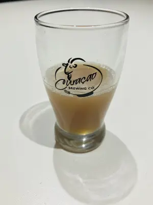 Grumbo's photo of 液态柑橘HDHC版 Citrus Boom HDHC DIPA