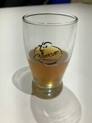 Grumbo's photo of 朋克之城 PUNK CITY WUHAN · Quadruple IPA