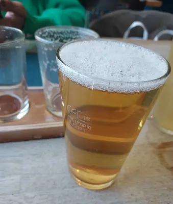 LordAlwold1970's photo of Single Hopped Pale - Karma #47