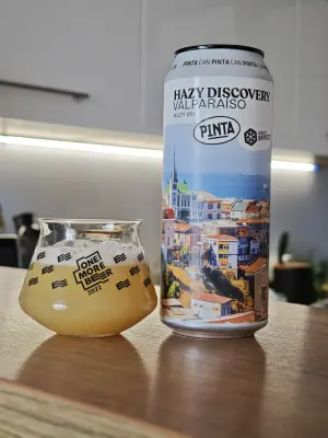 Oczek2015's photo of Hazy Discovery Valparaiso