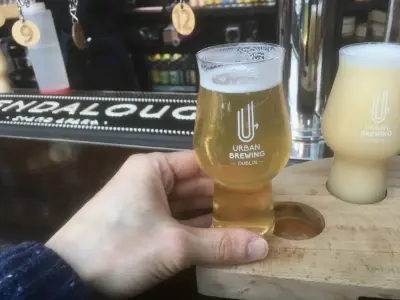 tompaulman's photo of American Cream Ale