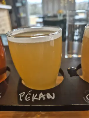 Lubiere's photo of Pékan