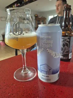 Lubiere's photo of Harfang des Neiges