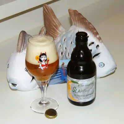 RudiGR's photo of Hop Collection ft. Kent Goldings (Glutenvrije Quadrupel)