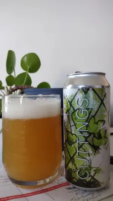 Clarkvv's photo of Cuttings