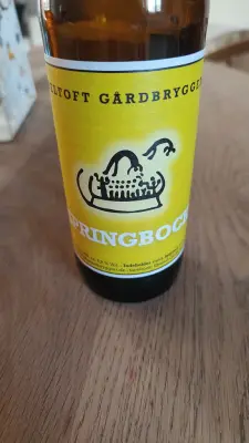 Charlotte's photo of Springbock
