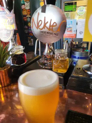 danlo's photo of Nekter - Simcoe Mosaic Pale