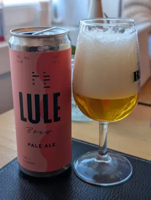 Synny's photo of Pale Ale