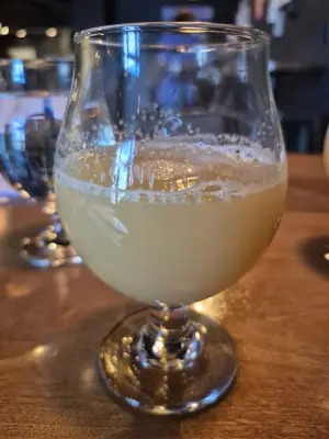 Lubiere's photo of Ski Dog