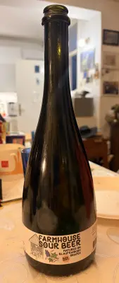 Kita's photo of Farmhouse Sour Beer With Blaufrankish Grapes