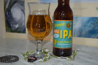 AleDegustation's photo of Triple Hop IPA