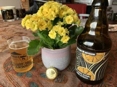 RuneBlix's photo of Fatlagra Surøl Med Sitron
