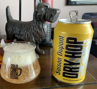 RuneBlix's photo of Saison Dupont Dry Hop