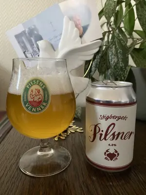 IpaPils's photo of Pilsner (4.8%)