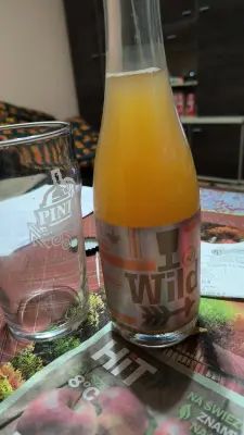 kamilgrzeszczak's photo of WILD Sour Saison Apricot & Palo Santo